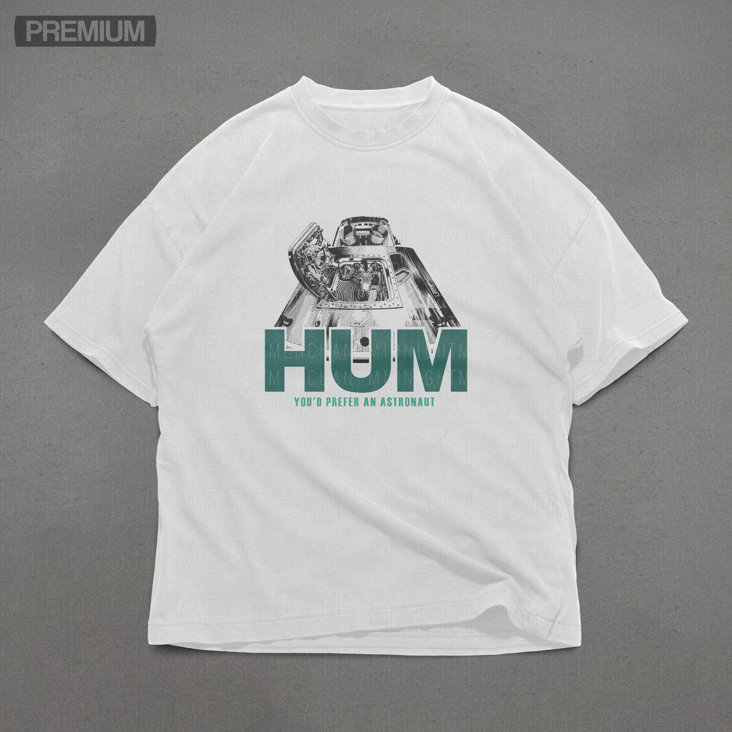 Hum band shirt, Comfort colors shirt, y2k tee, alt rock shirt, 90s band tees, Hum graphic tee, you'd prefer an astronaut album tee, Unisex,