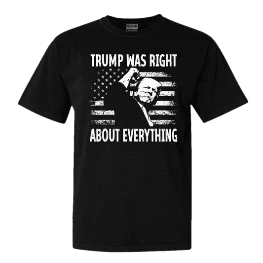 Trump Was Right About Everything American Flag T-Shirt Trump 2025 Merch